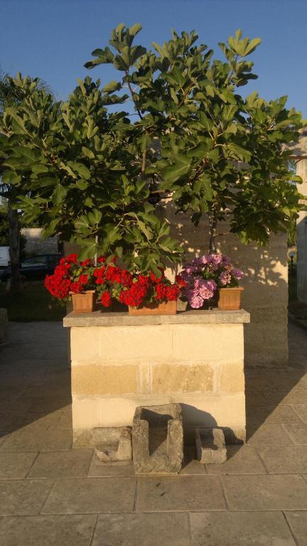 Hotel Masseria Grande Torre dell'Orso Zewnętrze zdjęcie