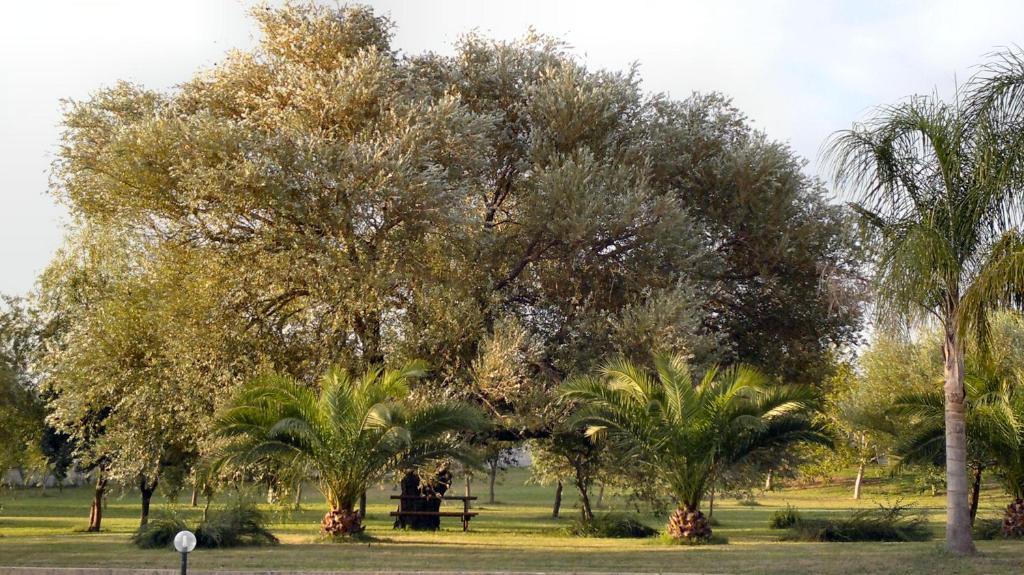 Hotel Masseria Grande Torre dell'Orso Zewnętrze zdjęcie